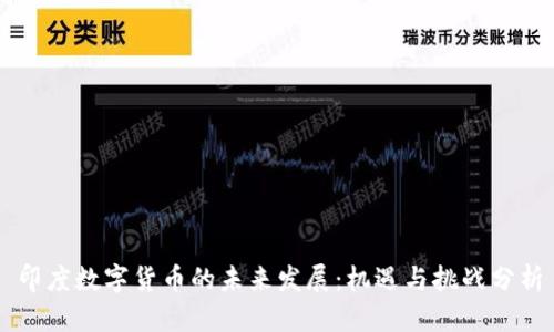 印度数字货币的未来发展：机遇与挑战分析